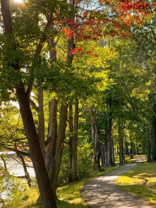 THE AMAZING THINGS TO DO IN CENTRAL PORTAGE COUNTY, OHIO STORY