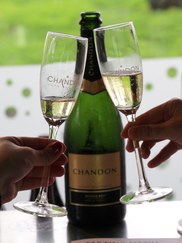 EXPLORING THE FLAVORS OF NAPA VALLEY THROUGH WINE TASTING STORY