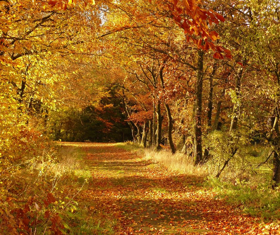 Fall Hikes Ohio
