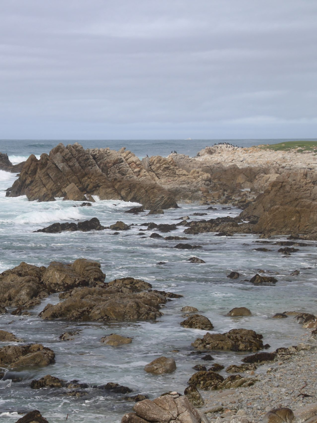THE BREATHTAKING 17-MILE DRIVE IN PEBBLE BEACH STORY