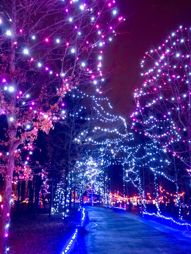 ENCHANTING DRIVE THROUGH CHRISTMAS LIGHTS IN OHIO {2023} STORY